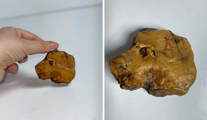 What Animal Do You See? This Was A Rock I Found In A Creek