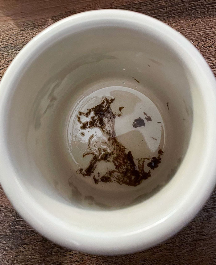 My Tea Residue Looks Like A Sitting Dog