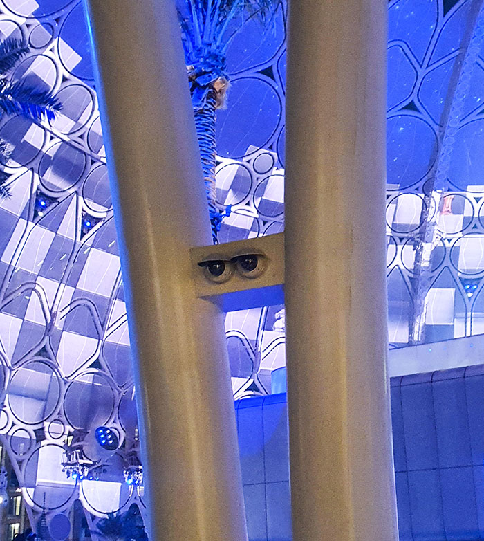 These Cameras Look Like A Pair Of Eyes