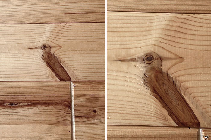 A Bird In The Ceiling