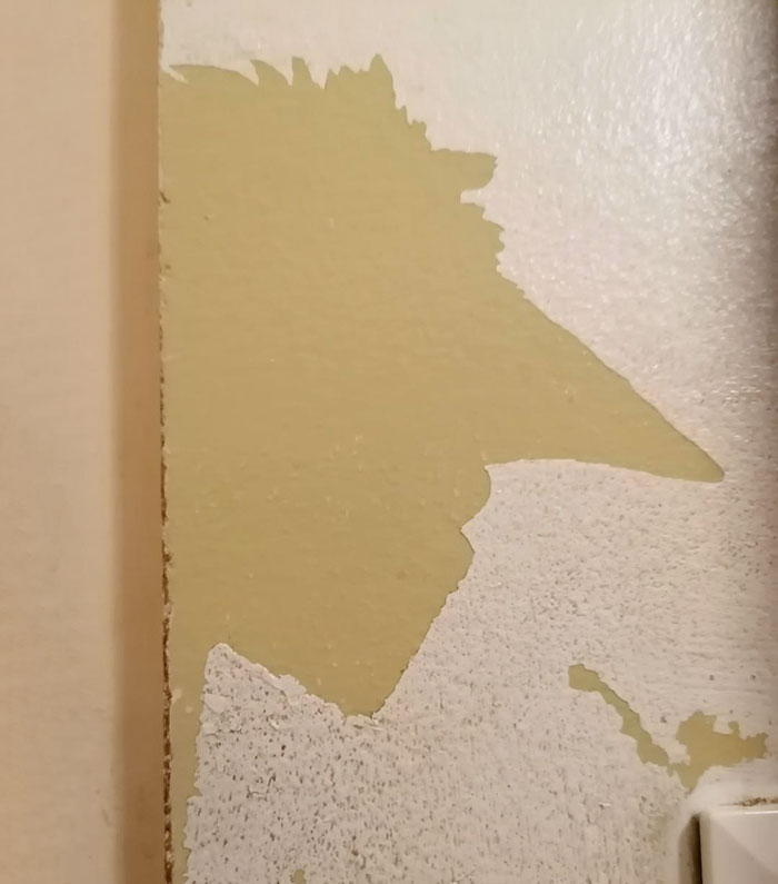 The Scratched Paint On Our Bathroom Wall Looks Like A Face With A Big Pointy Nose