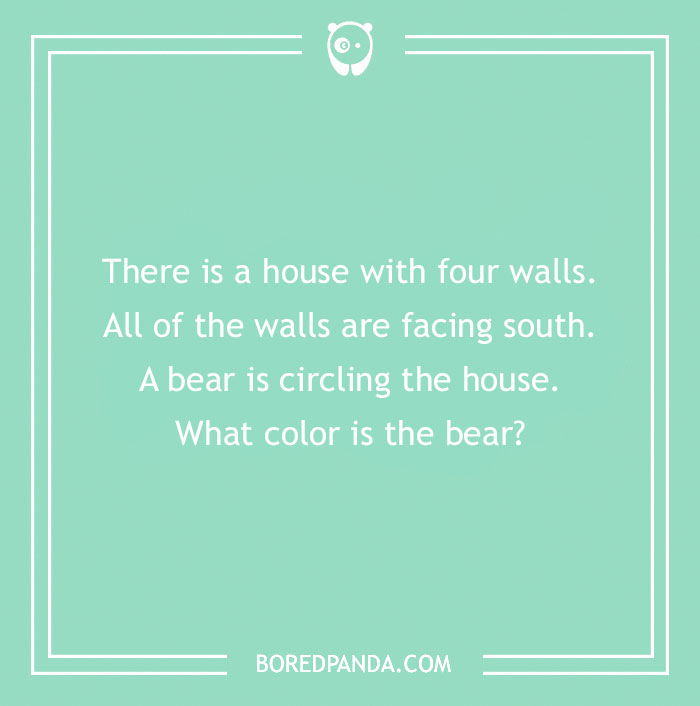 Text on a mint-green background: a riddle about a house and a bear's color, promoting funny riddles to tickle your brain.