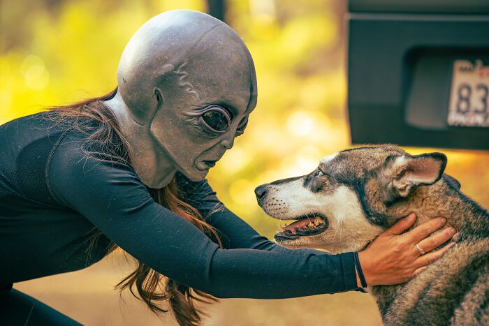 Person in an alien mask interacting with a dog in a thought-provoking scene.