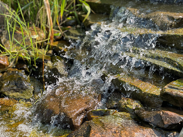 Running water over stones in a river
