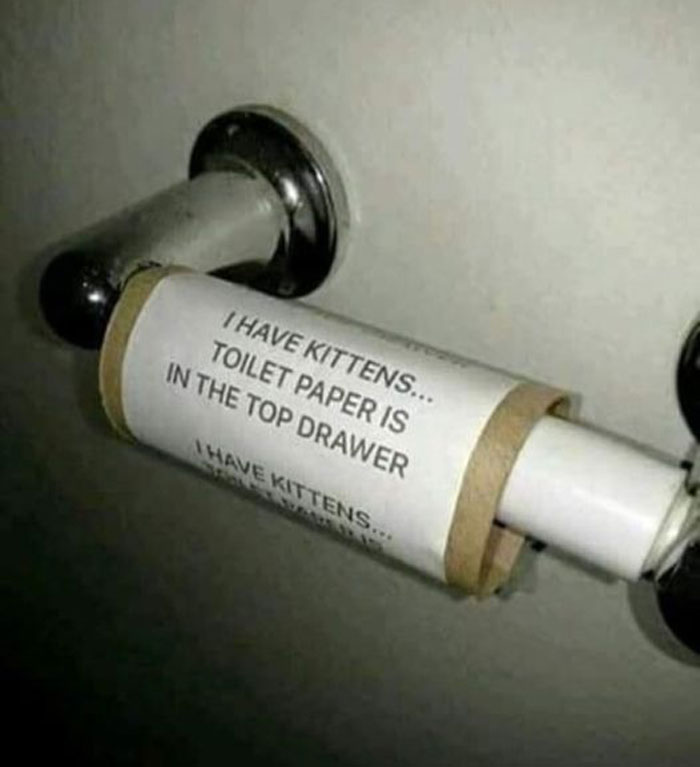 Tengo gatitos... El papel higiénico está en el cajón de arriba