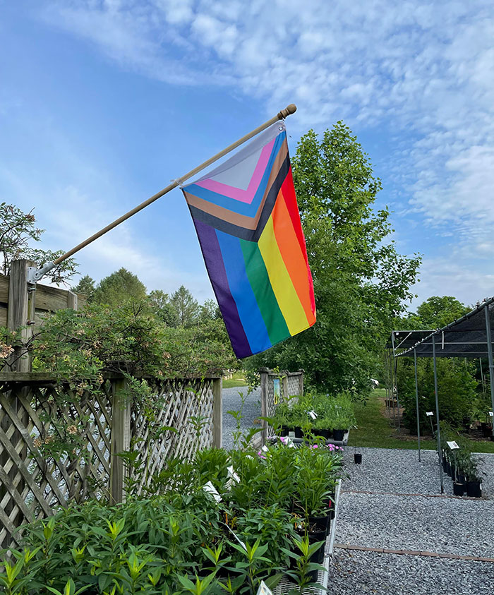 Two Years Ago, My Boss Was One Of The First People I Came Out To As Trans. She's Always Had My Back. Well, On Monday, I Came In To Work To This