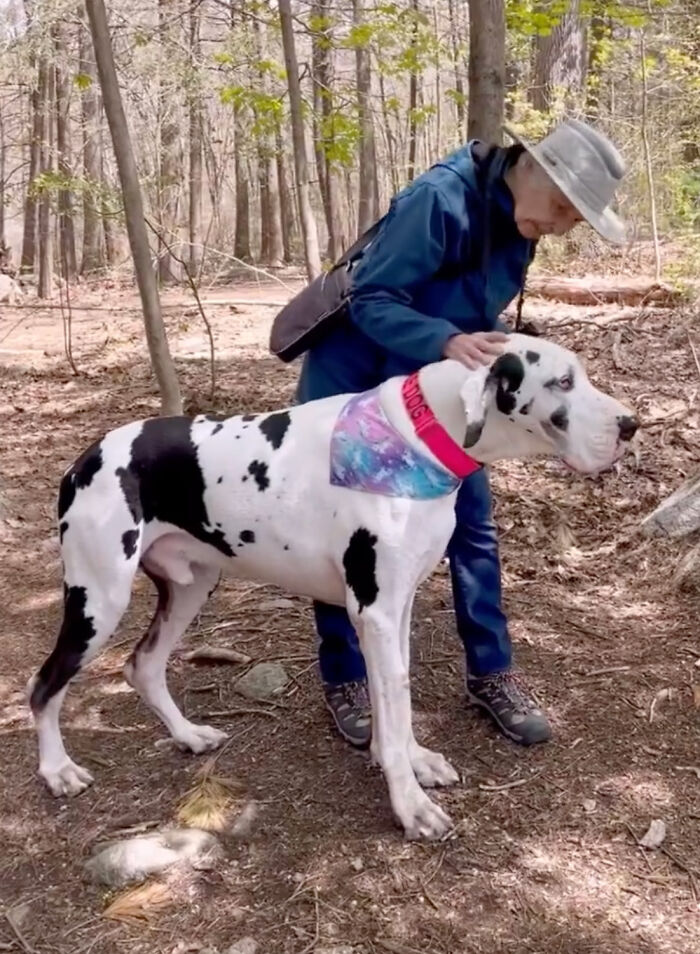 Great Dane Meets Elderly Woman On A Hike, Decides She’s His Grandma Now Great Dane Meets Elderly Woman On A Hike, Decides She’s His Grandma Now