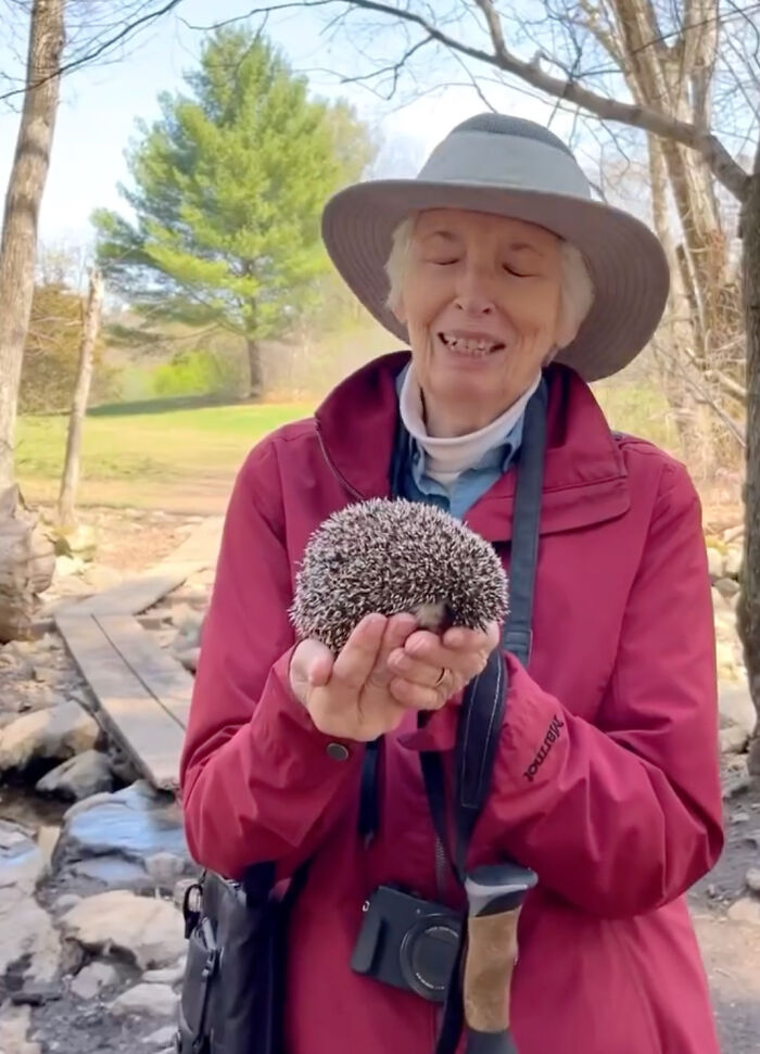 Great Dane Meets Elderly Woman On A Hike, Decides She’s His Grandma Now Great Dane Meets Elderly Woman On A Hike, Decides She’s His Grandma Now