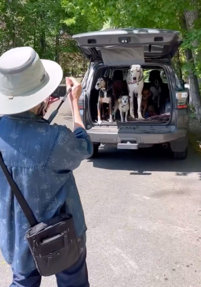 Great Dane Meets Elderly Woman On A Hike, Decides She’s His Grandma Now Great Dane Meets Elderly Woman On A Hike, Decides She’s His Grandma Now