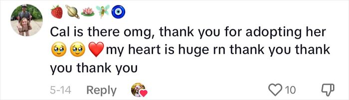 Great Dane Meets Elderly Woman On A Hike, Decides She’s His Grandma Now Great Dane Meets Elderly Woman On A Hike, Decides She’s His Grandma Now