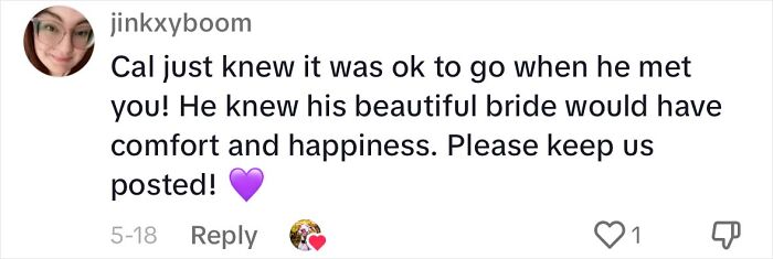 Great Dane Meets Elderly Woman On A Hike, Decides She’s His Grandma Now Great Dane Meets Elderly Woman On A Hike, Decides She’s His Grandma Now