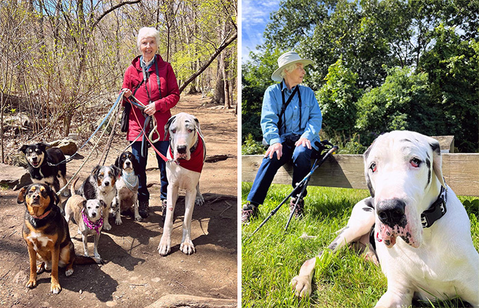 Great Dane Meets Elderly Woman On A Hike, Decides She’s His Grandma Now