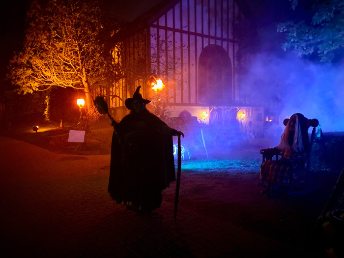 Person wearing witch clothes standing