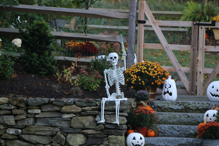 Skeleton sitting and waving