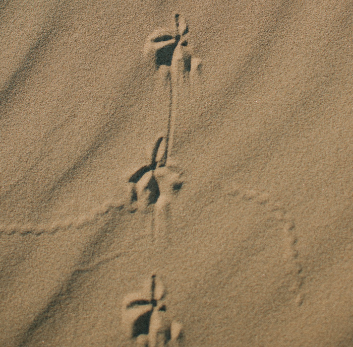 Traces in sand