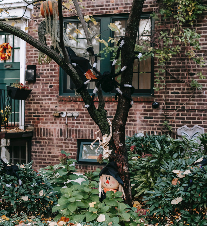 Tree with fake spider and decorations
