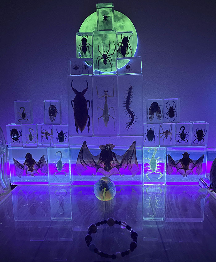 My Spooky Creatures Display Idea