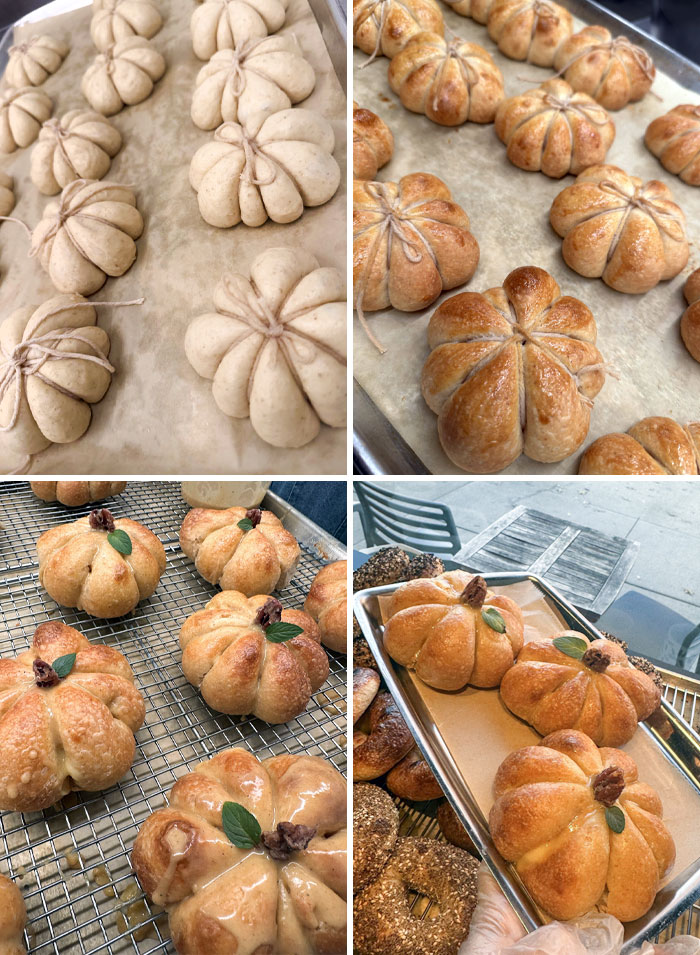 Happy Halloween. I'm So Proud Of These