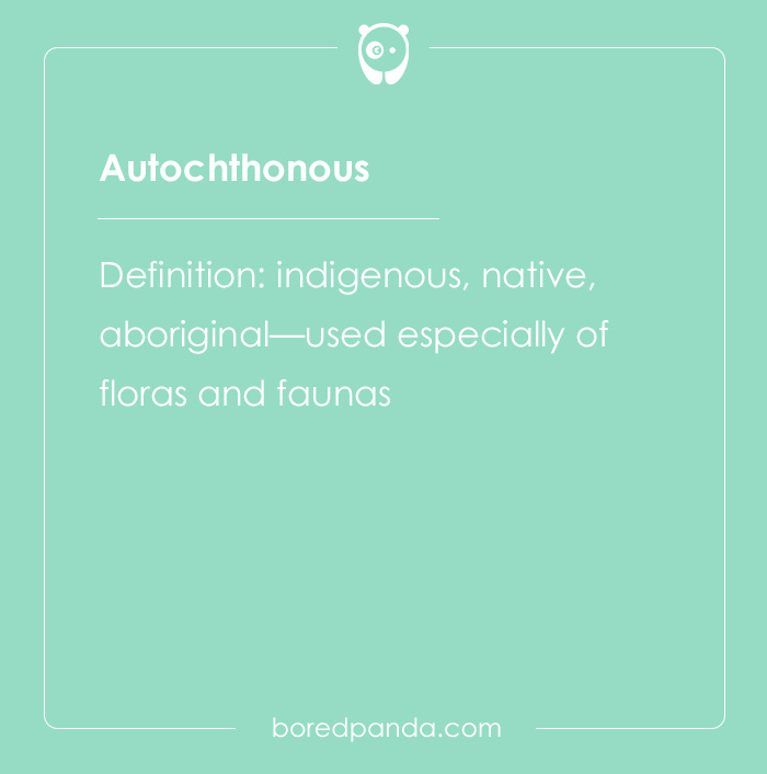 Autochthonous meaning indigenous and native, featured among hard spelling bee words we are glad not to spell aloud.