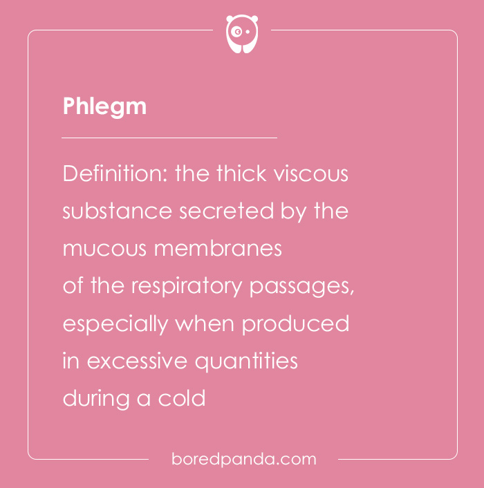 Phlegm definition card from hard spelling bee words showing thick viscous substance secreted by respiratory mucous membranes.