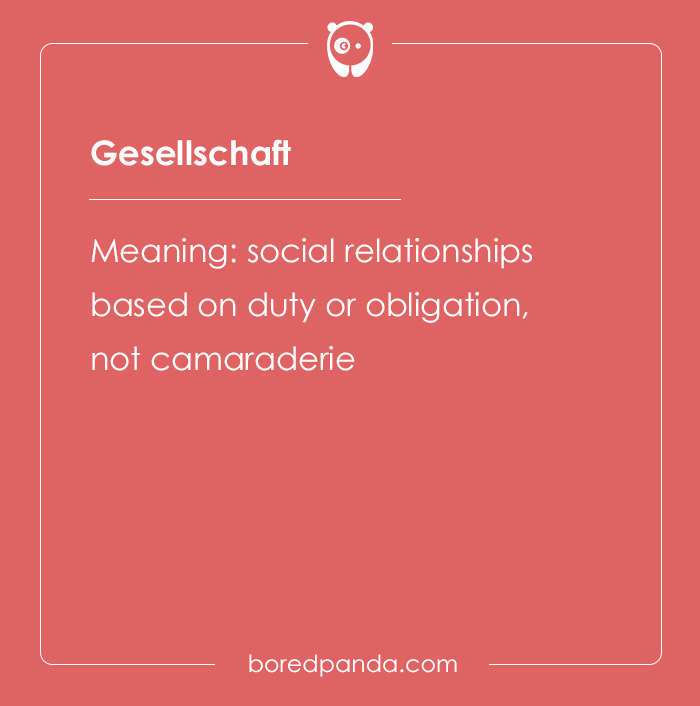 Card showing the hard spelling bee word Gesellschaft with its meaning related to social relationships based on duty or obligation.