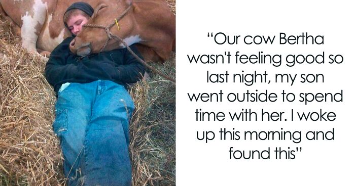 50 Hilarious Animal Memes From This Instagram Page