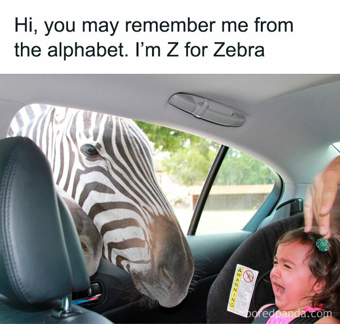 Hilarious-Brainy-Memes