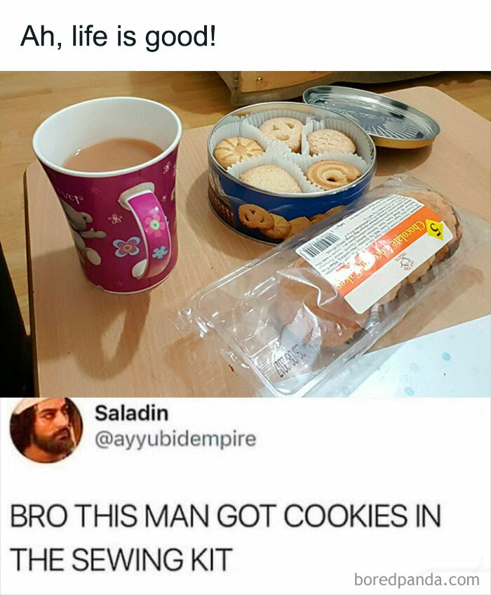 Hilarious-Brainy-Memes