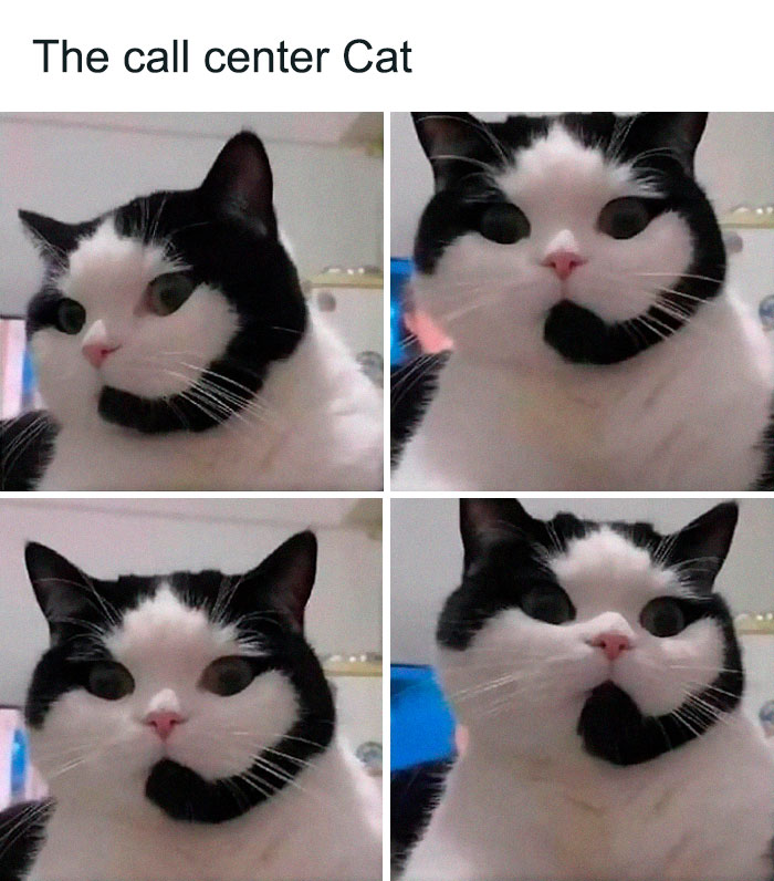 Hilarious-Brainy-Memes