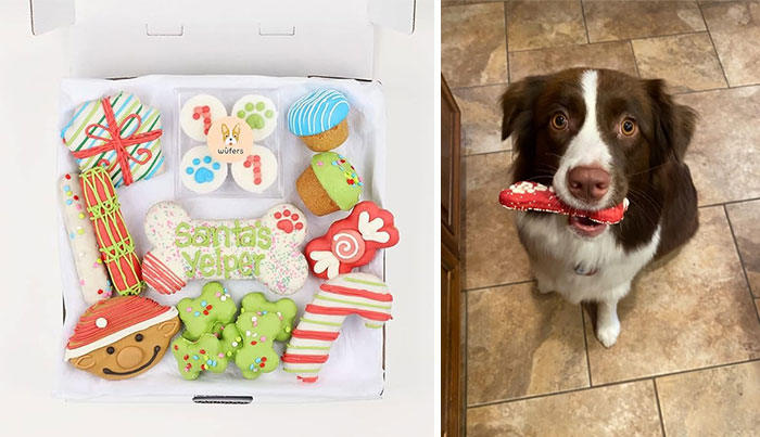 Or a basket of hand-decorated, individually-wrapped dog biscuits celebrating Hanukkah, Christmas, or just the winter season — because even though their favorite food is whatever they can get out of the trash, they'll also appreciate these high-end snacks.