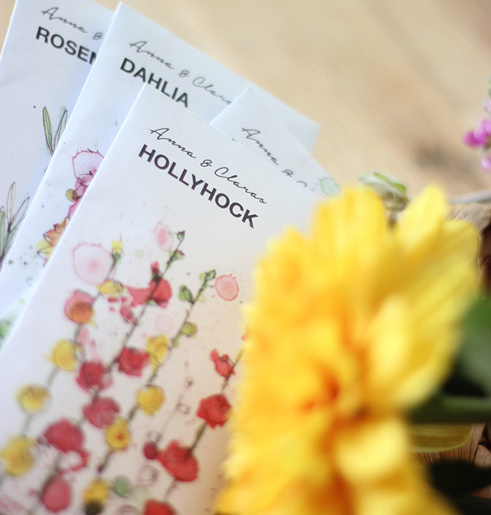 Packs of hollyhock flowers seeds.