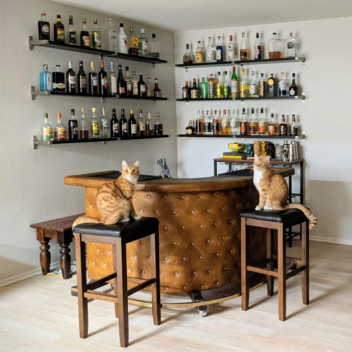 Small rounded home bar with two cats seated on stools, surrounded by shelves filled with liquor bottles for a cozy happy hour. Small rounded home bar with two cats seated on stools, surrounded by shelves filled with liquor bottles for a cozy happy hour.