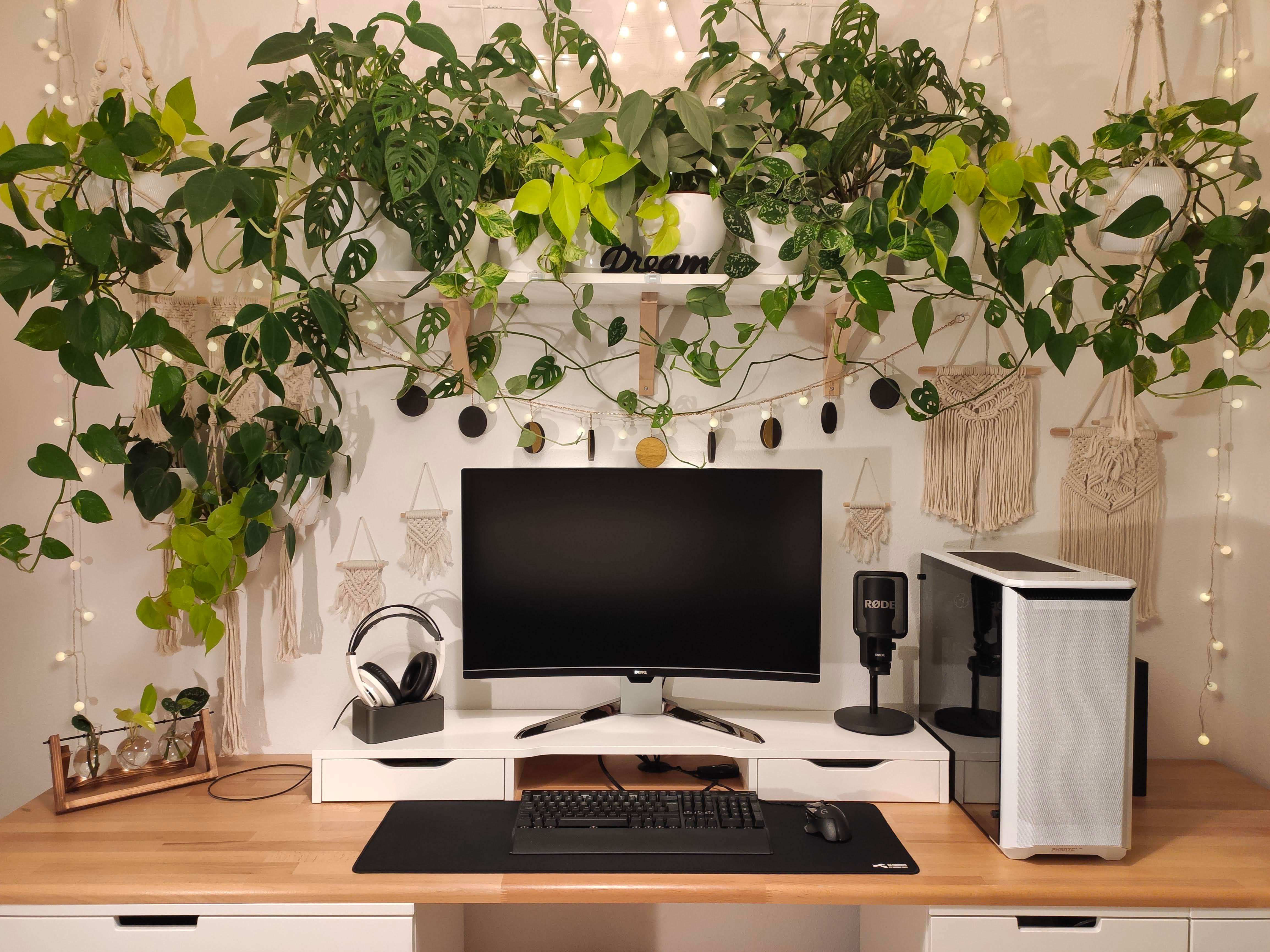 Home office setup featuring a monitor surrounded by abundant green plants and cozy decorative elements.