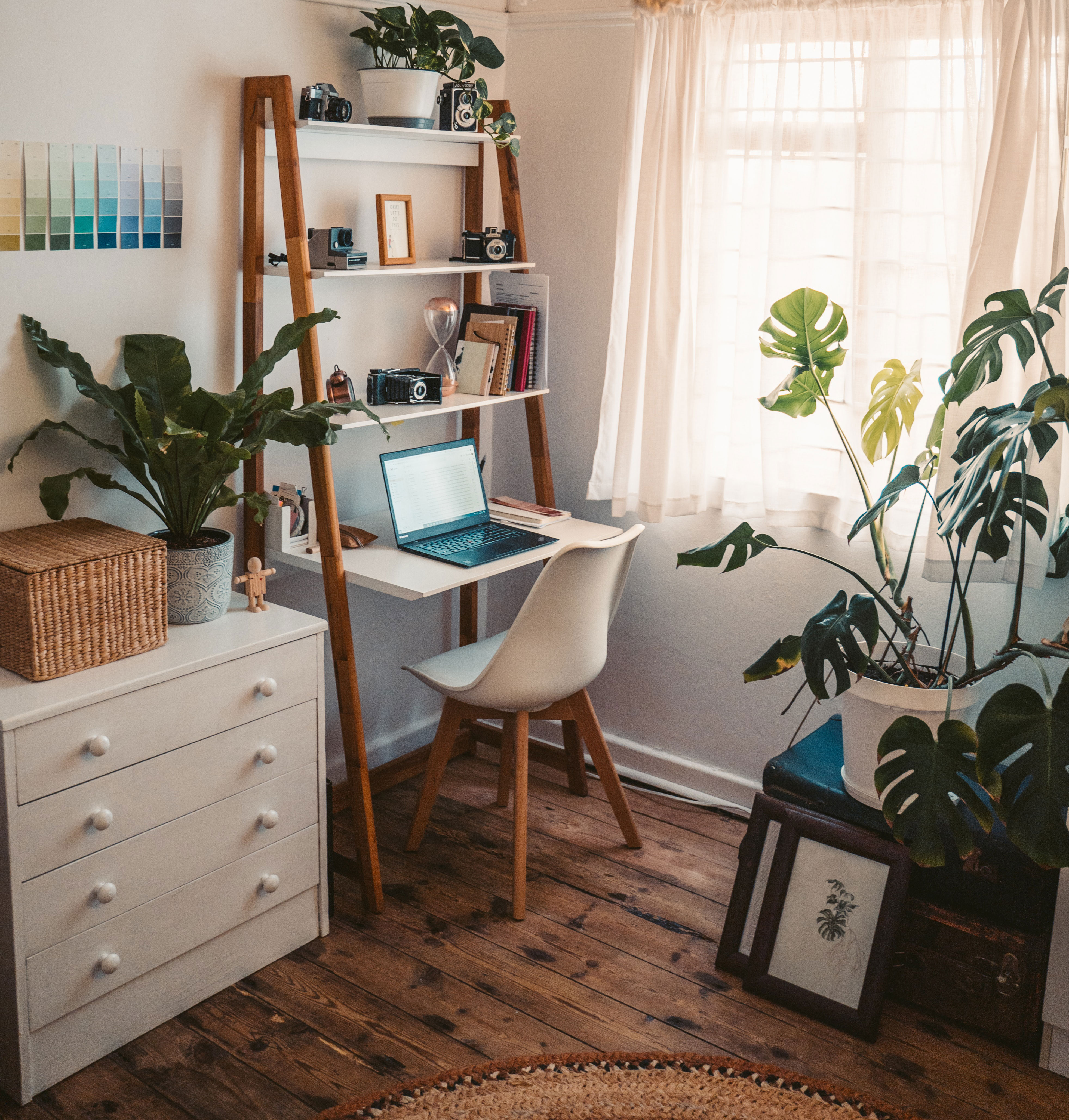 Cozy home office ideas with a learning desk near the window, featuring natural light and plants for productivity.
