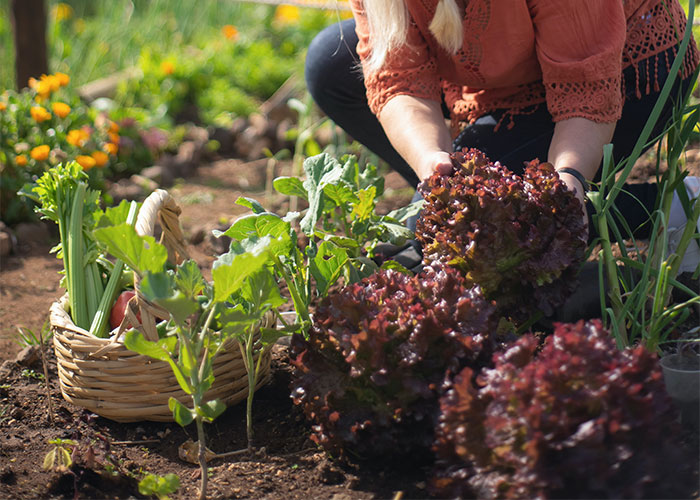 30 Foods That Are Far Cheaper To Make At Home, As Shared By These Frugal Internet Users