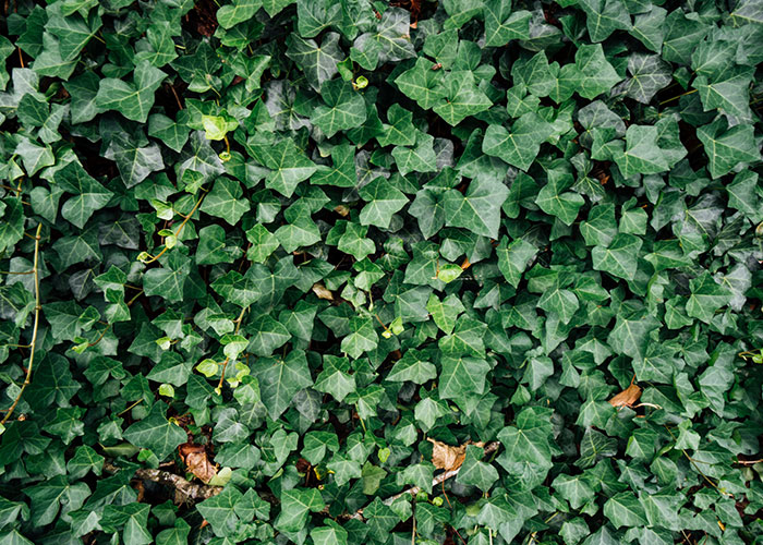 20 Errores que los propietarios cometieron al comprar su primera casa