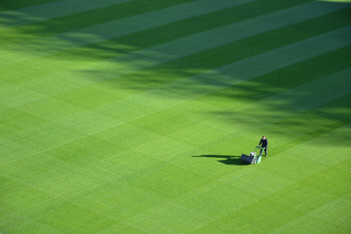 Man cutting grass with lawn mower on golf field, maintaining healthy turf to help get rid of moles permanently.
