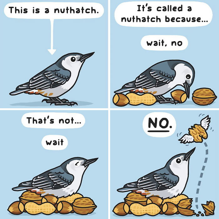 This Artist Brings Laughter To Bird And Nature Lovers With Humorous Comics (30 Pics)