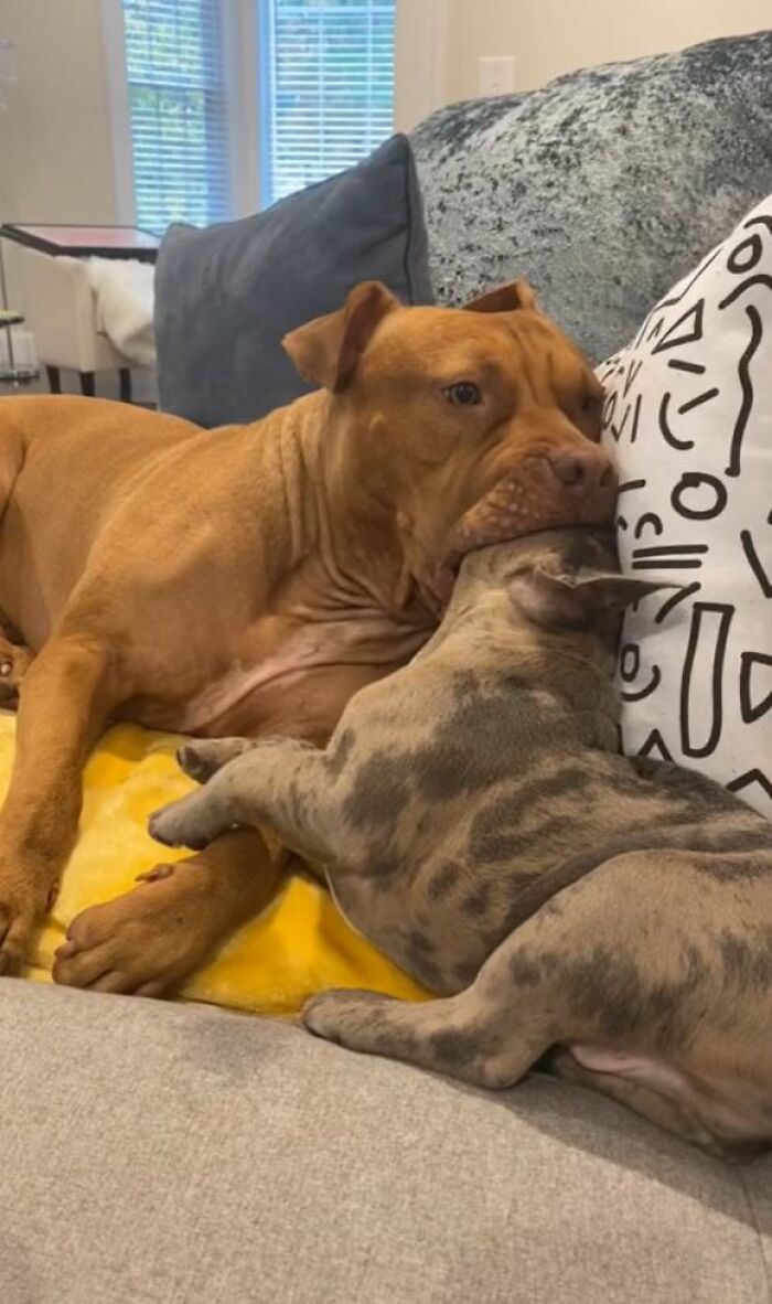 I-Am-A-Photographer-Tiktok-Trend-Funny