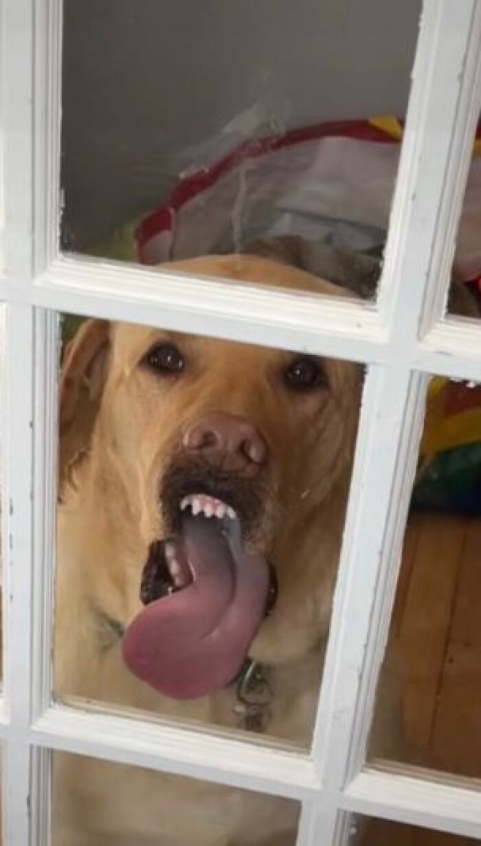 I-Am-A-Photographer-Tiktok-Trend-Funny