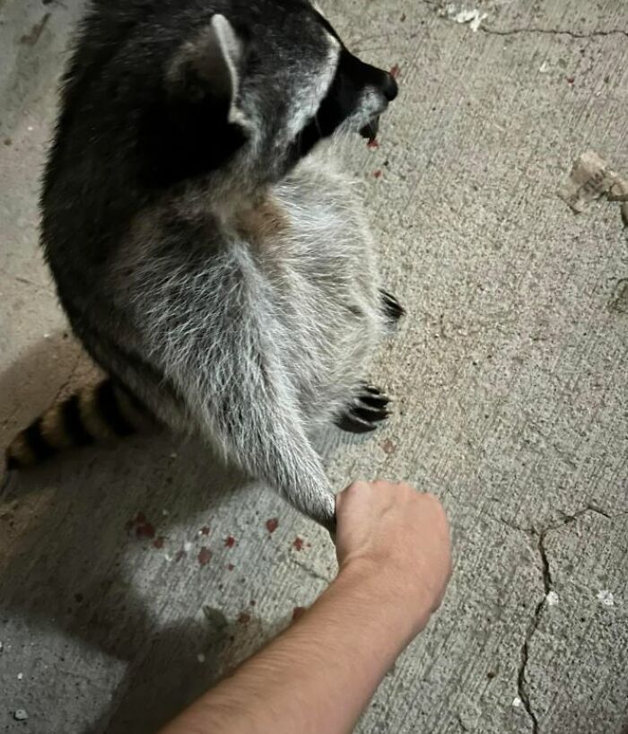 I-Am-A-Photographer-Tiktok-Trend-Funny