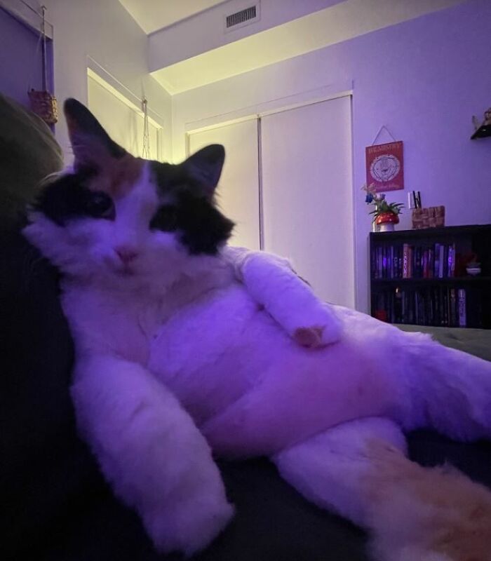 I-Am-A-Photographer-Tiktok-Trend-Funny