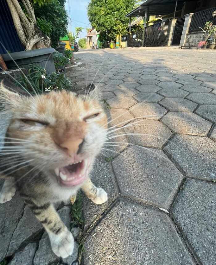 I-Am-A-Photographer-Tiktok-Trend-Funny