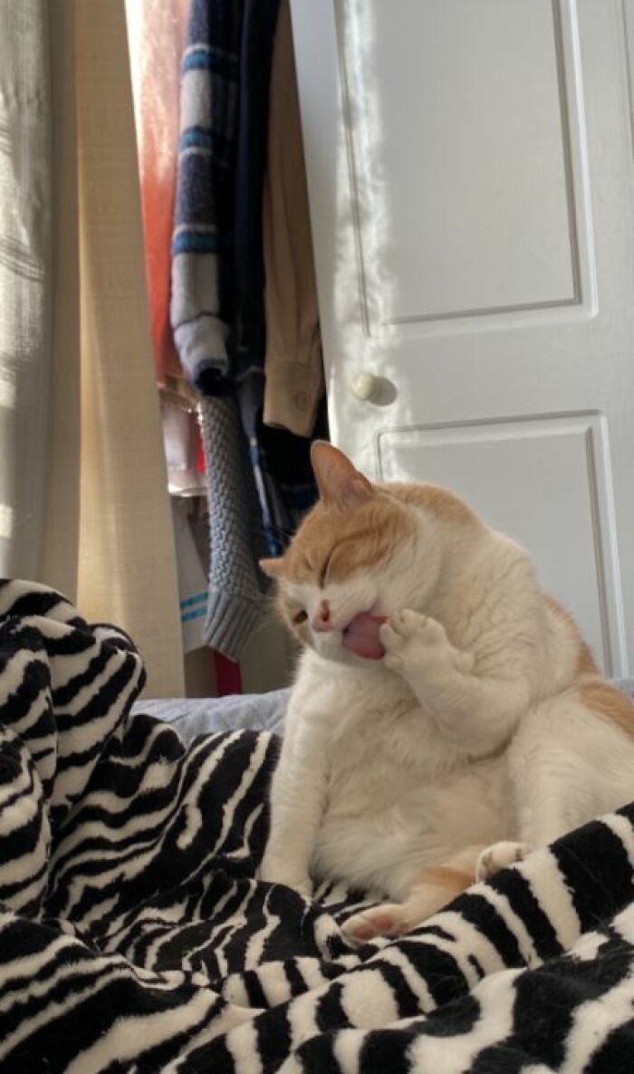 I-Am-A-Photographer-Tiktok-Trend-Funny