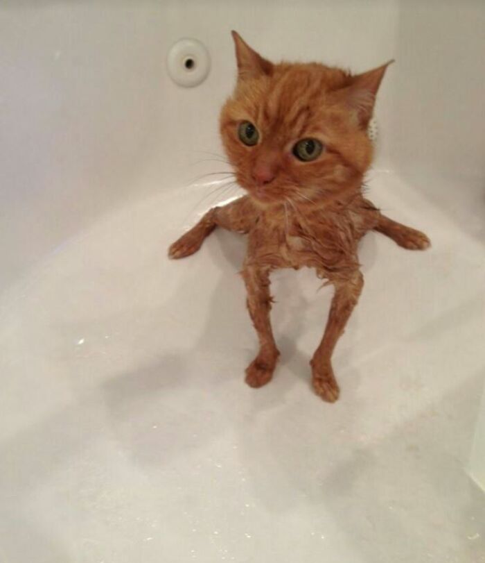 I-Am-A-Photographer-Tiktok-Trend-Funny