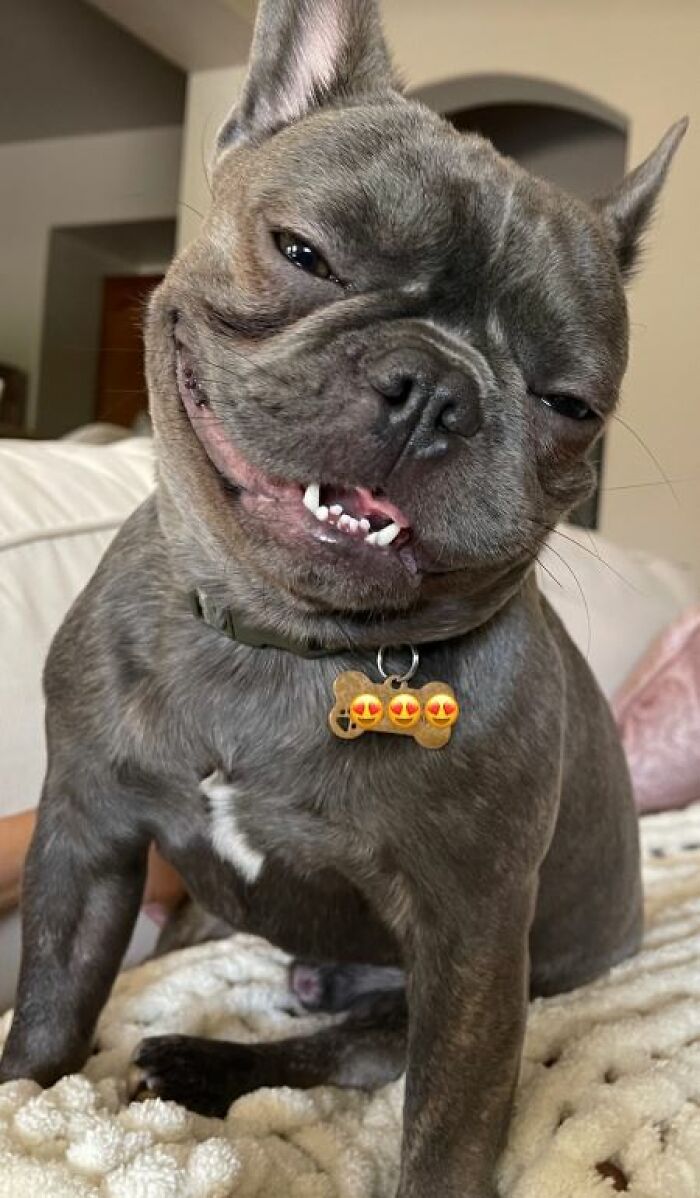 I-Am-A-Photographer-Tiktok-Trend-Funny