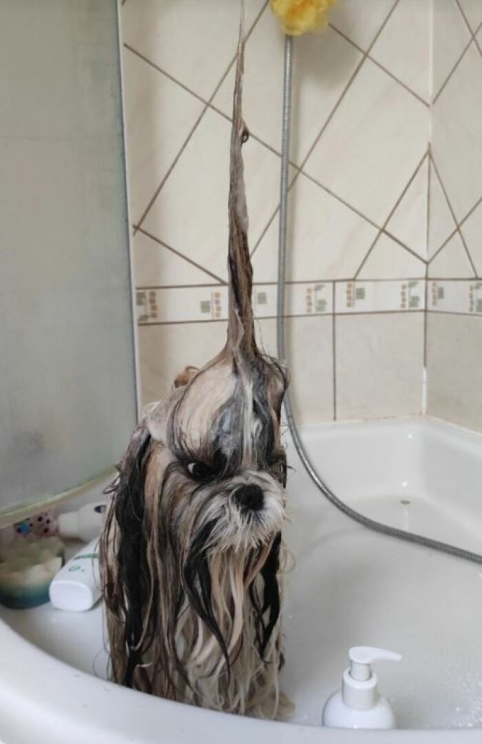 I-Am-A-Photographer-Tiktok-Trend-Funny