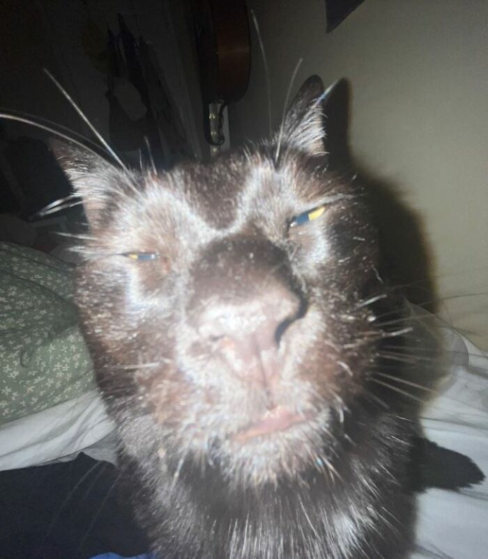 I-Am-A-Photographer-Tiktok-Trend-Funny