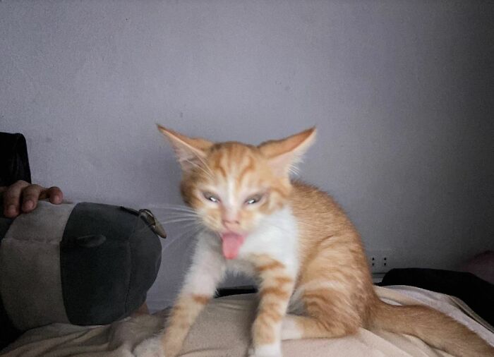 I-Am-A-Photographer-Tiktok-Trend-Funny