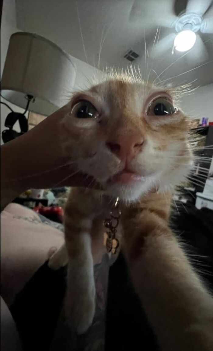 I-Am-A-Photographer-Tiktok-Trend-Funny